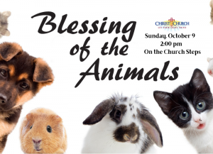 Blessing of the Animals @ Christ Episcopal Church